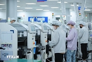 欧洲企业对越南长期增长潜力保持乐观